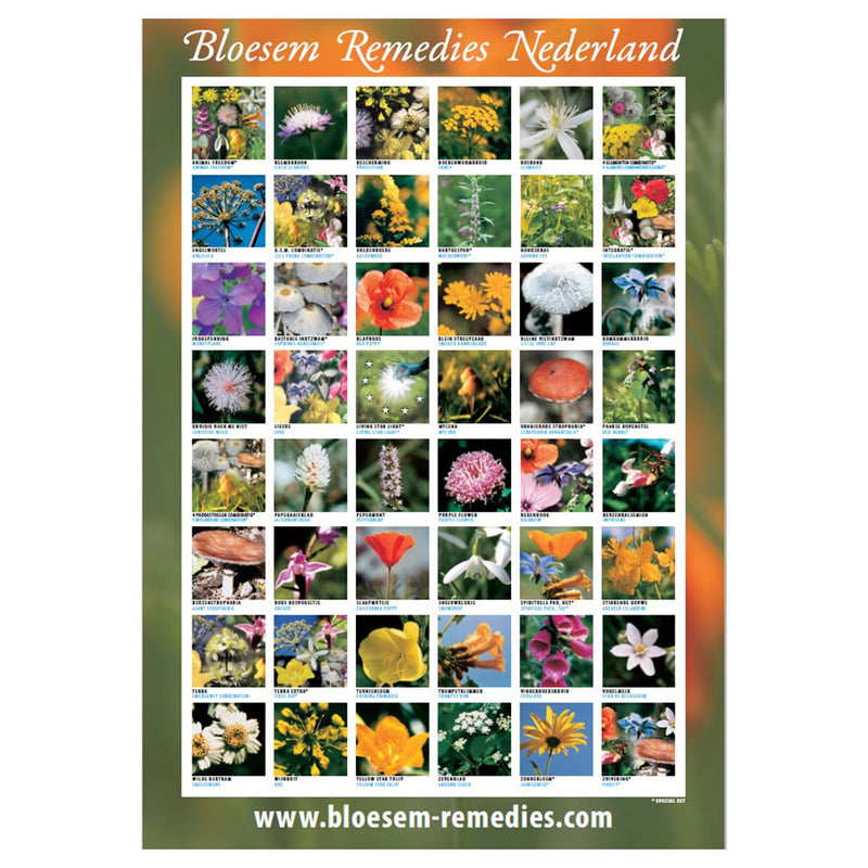 Downloadable PDF Repertory of the Bloesem Flower Essences