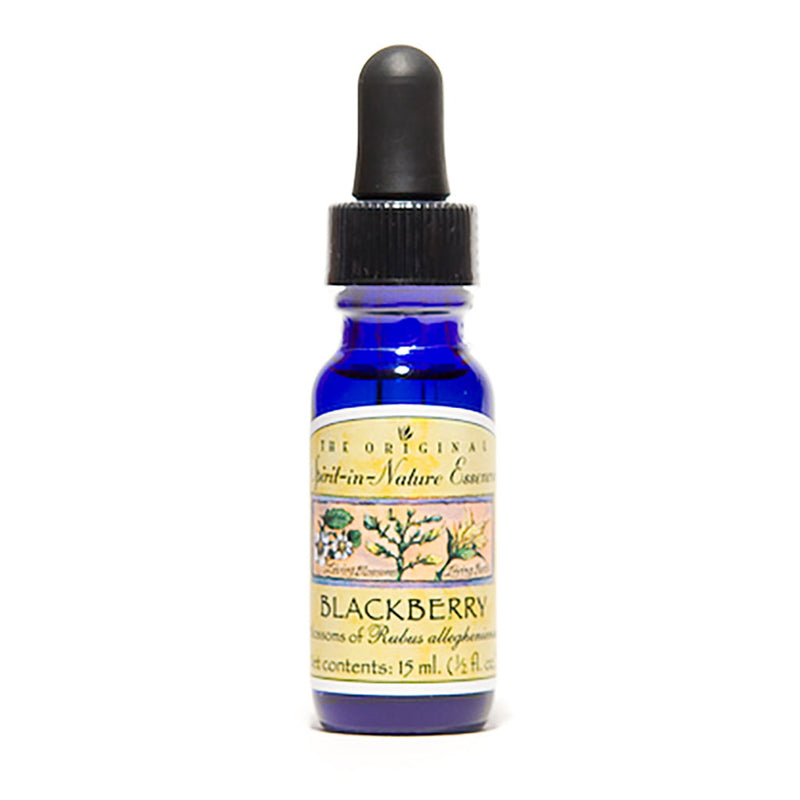 Blackberry Flower Essence - Purity of Thought   15 ml