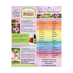 Spirit-in-Nature Cardstock Flyer - for Pets