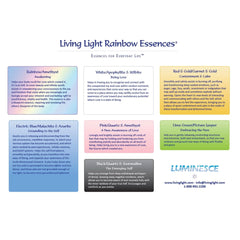 Downloadable PDF Full Colour Chart of the Living Light Rainbow Essences© - Set One